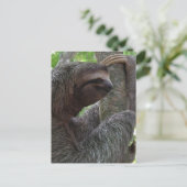 Tree Climbing Sloth Postcard Postkarte (Stehend Vorderseite)