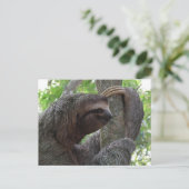 Tree Climbing Sloth Postcard Postkarte (Stehend Vorderseite)