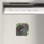 Tree Climbing Sloth Square Magnet (In Situ (Geschirrspüler))