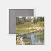 Tree Creek Foto Magnet (Vorderseite/Rückseite)