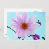 Tree Dahlia Postkarte (Vorne/Hinten)