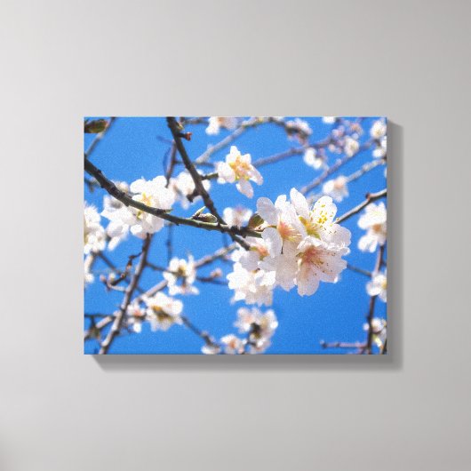 Tree der Blume eingewickelte Leinwände Leinwanddruck (Vorderseite)