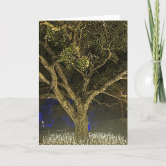 Tree der leichten Grußkarte Karte (Vorderseite)
