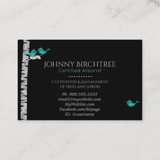 *~* Tree Doctor Blue Birds Arborist Birch Tree Visitenkarte (Rückseite)