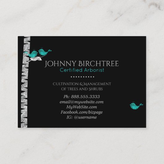 *~* Tree Doctor Blue Birds Arborist Birch Tree Visitenkarte (Rückseite)