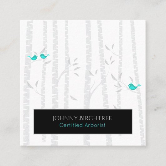 *~* Tree Doctor Blue Birds Birch Trees Arborist Quadratische Visitenkarte (Vorderseite)