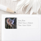 Tree-Eichhörnchen-Mailing-Labels (Insitu)