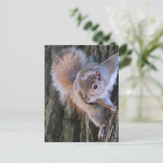 Tree Eichhörnchen Postcard Postkarte (Stehend Vorderseite)