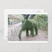 Tree Elephant Postkarte (Vorne/Hinten)