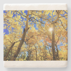 Tree Fall Nature Landscapes Sky Destiny's Steinuntersetzer
