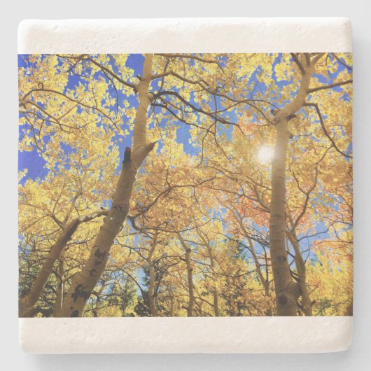 Tree Fall Nature Landscapes Sky Destiny's Steinuntersetzer (Vorderseite)
