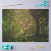 Tree Fantasy Forest Gothic 20x30 Decoupage Seidenpapier (Basteln)