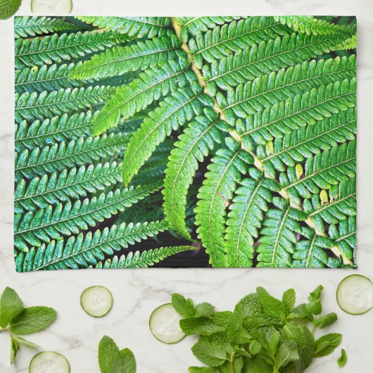 Tree Fern Frond Geschirrtuch (Gefaltet)