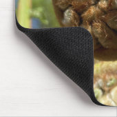 Tree Fern Frond Mousepad (Ecke)