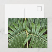 Tree Fern Frond Postkarte (Vorne/Hinten)