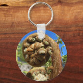 Tree Fern Frond Schlüsselanhänger (Vorderseite)