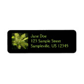 Tree Fern im Regenwald (Vorne)