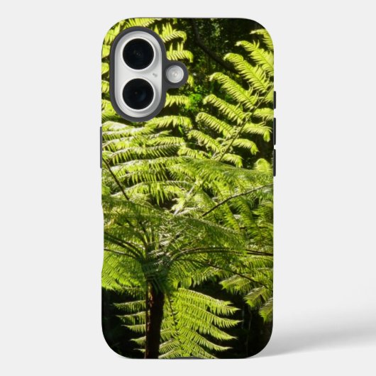 Tree Fern im Regenwald Case-Mate iPhone Hülle (Rückseite)