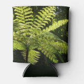 Tree Fern im Regenwald Dosenkühler (Vorderseite)