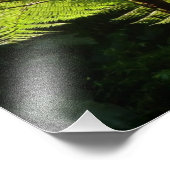 Tree Fern im Regenwald Fotodruck (Ecke)