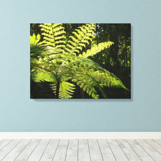 Tree Fern im Regenwald Leinwanddruck (Insitu (Holzboden))