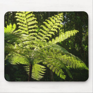 Tree Fern im Regenwald Mousepad
