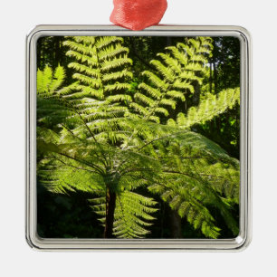 Tree Fern im Regenwald Ornament Aus Metall