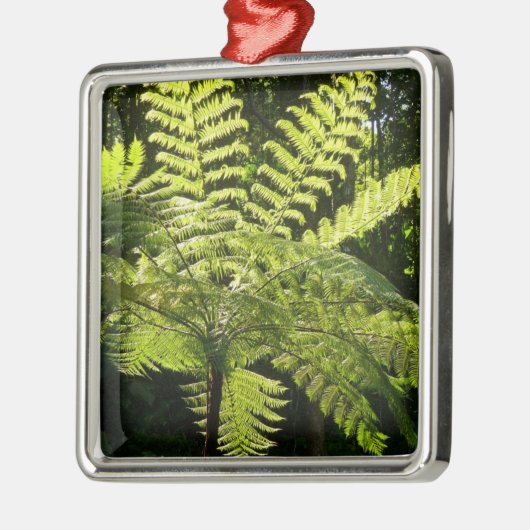 Tree Fern im Regenwald Ornament Aus Metall (Links)