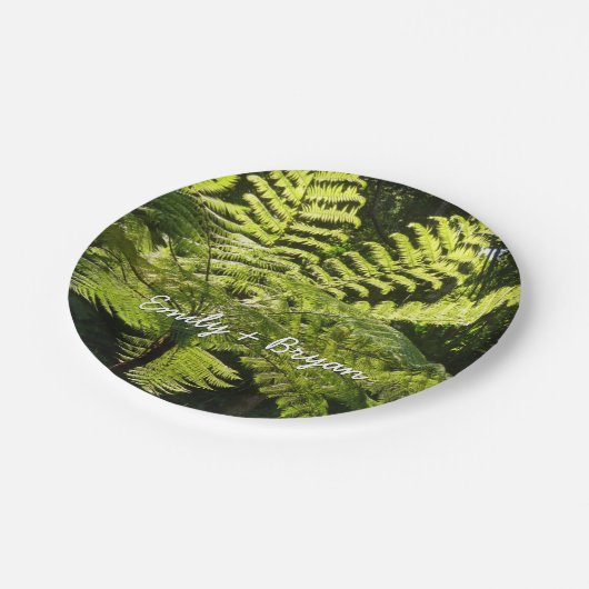 Tree Fern im Regenwald Pappteller (Schrägansicht)