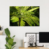 Tree Fern im Regenwald Poster (Heimbüro)
