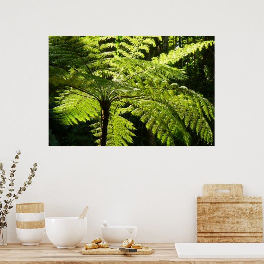 Tree Fern im Regenwald Poster (Küche)