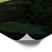 Tree Fern im Regenwald Poster (Ecke)