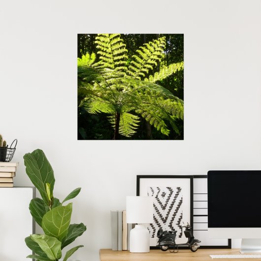 Tree Fern im Regenwald Poster (Heimbüro)