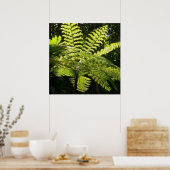 Tree Fern im Regenwald Poster (Küche)