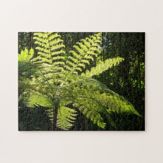 Tree Fern im Regenwald Puzzle (Horizontal)