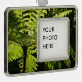 Tree Fern im Regenwald Rahmen-Ornament Silber (Rechts)