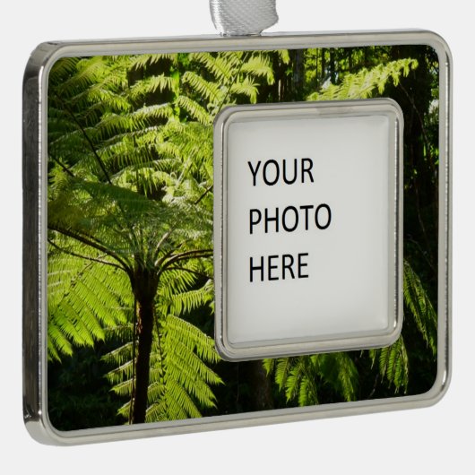 Tree Fern im Regenwald Rahmen-Ornament Silber (Rechts)