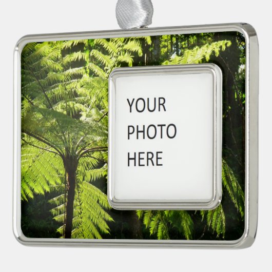 Tree Fern im Regenwald Rahmen-Ornament Silber (Links)