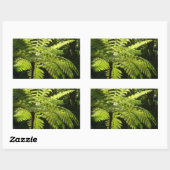 Tree Fern im Regenwald Rechteckiger Aufkleber (Blatt)