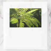 Tree Fern im Regenwald Rechteckiger Aufkleber (Tasche)