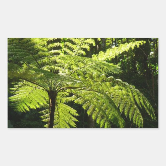Tree Fern im Regenwald Rechteckiger Aufkleber (Vorderseite)
