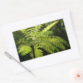 Tree Fern im Regenwald Rechteckiger Aufkleber (Umschlag)