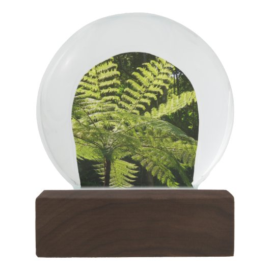 Tree Fern im Regenwald Schneekugel (Rückseite)
