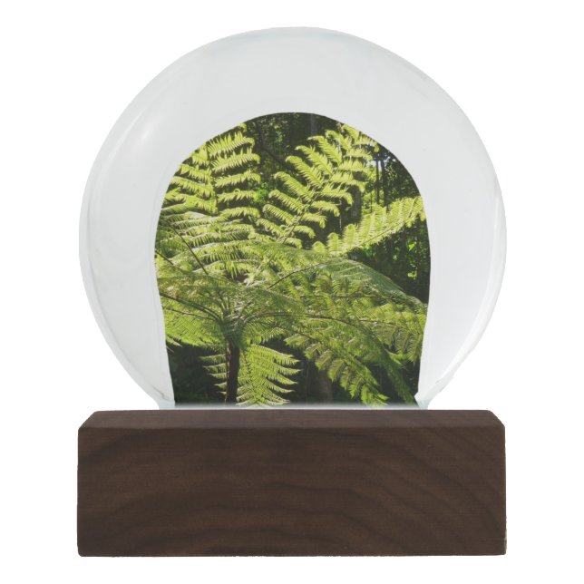 Tree Fern im Regenwald Schneekugel (Vorderseite)