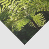 Tree Fern im Regenwald Seidenpapier (Ausschnitt)