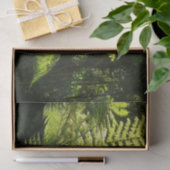 Tree Fern im Regenwald Seidenpapier (Geschenk)