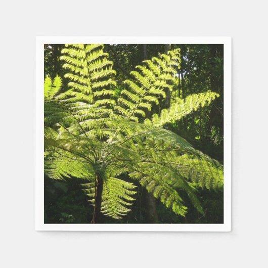 Tree Fern im Regenwald Serviette (Vorderseite)