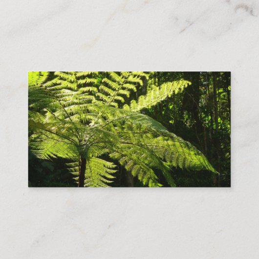 Tree Fern im Regenwald Visitenkarte (Rückseite)