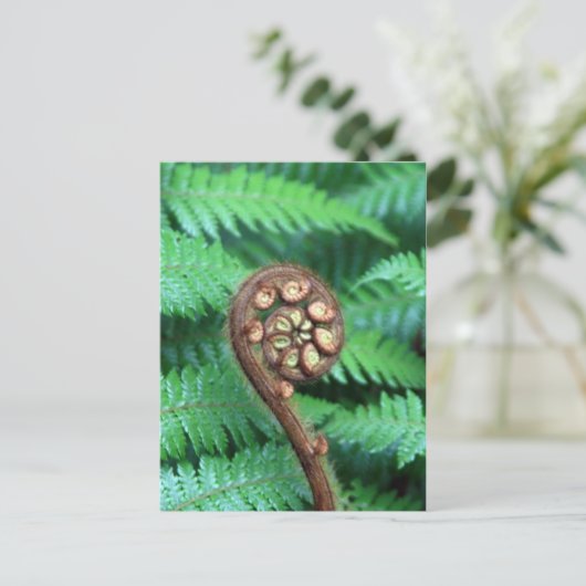 Tree Fern Postkarte (Stehend Vorderseite)