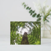 Tree Fern Postkarte (Stehend Vorderseite)